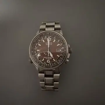 CITIZEN 에코 드라이브 손목시계 브라운