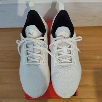 PUMA 화이트 스니커즈 SOFTFOAM+