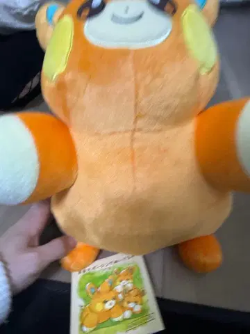 [포켓몬] 파모 등신대 봉제 인형 포켓몬 센터 제일복권