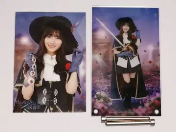 카와타 히나 아크릴 아트 패널 & 엽서 히나 도서 괴도