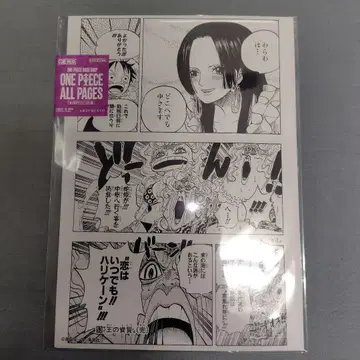 원피스 BASESHOP ALL PAGES 아마존 릴리 핸콕