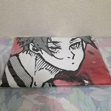 블루 록 블루 록전 빅 타월 이토시 사에