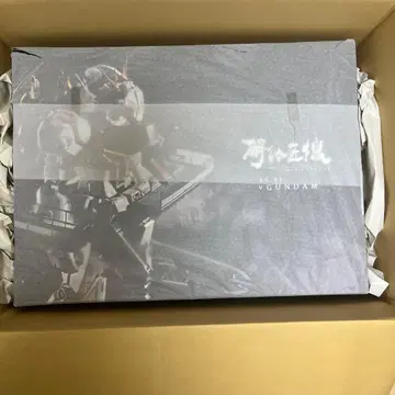 해체장기 뉴건담 핀판넬 2개 세트