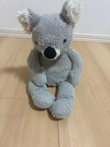 Jellycat 제리캣 코알라