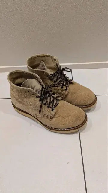 레드윙 아이리쉬 세터 8167 US7E 25cm