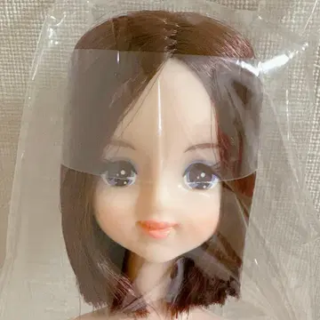 리카짱 캐슬 율리시아 즐거운 인형 제니 프렌드 율리시아