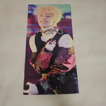 세븐틴 디노 슬로건