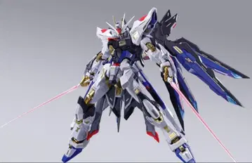 METAL BUILD 메탈빌드 스트라이크 프리덤 건담