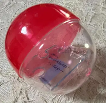 ZB1 ZEROBASEONE 제베원 장하오 캡슐 토이 퍼즐