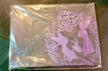 포켓몬 A4 사이즈 파일 케이스 에브이&블래키 미개봉