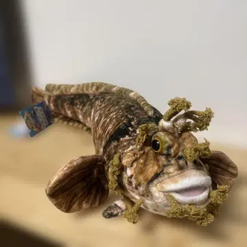 봉제 인형 쥐치 물고기 박사 감수 택 포함