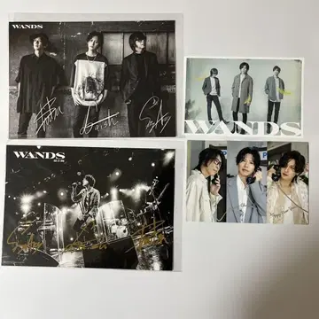 WANDS 아티스트 카드 엽서