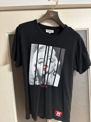 플랫 헤드 하드 버드 레어