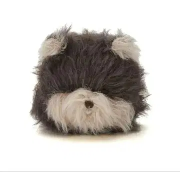 젤라또피케 포메라니안 파우치