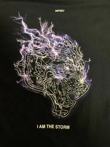 Darcsport x Champion