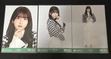 노기자카46 스가와라 사츠키 브로마이드 대감사제 하운드투스