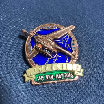 StormRider Forever! 스톰 라이더 핀 배지