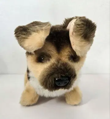 쇼와 레트로 이와야 1986년 간바레 럭키 봉제 인형 강아지