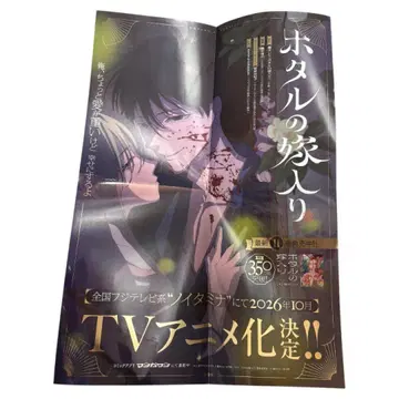 반딧불이의 신부 포스터 타치바나 오레코