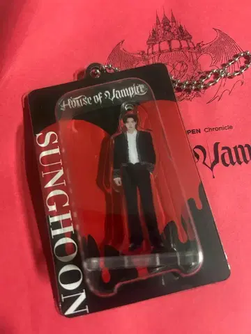 ENHYPEN 성훈 하우스 오브 뱀파이어 아크릴 키링 질투ver