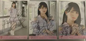 사사키 마이카 이코러브 친필 절대 아이돌 그만두지 마 컴프