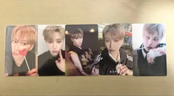 ALPHA DRIVE ONE 아르노 트레이딩 카드