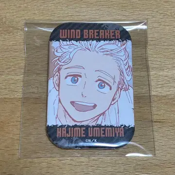 WIND BREAKER 트레이딩 스퀘어 캔뱃지 우메미야 하지메 원작