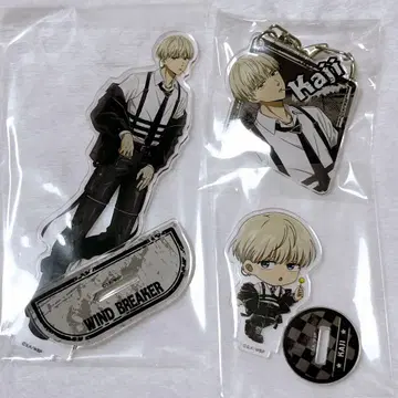 카지 렌 아크릴류 모음