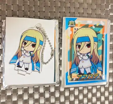 이나즈마 일레븐 애니메이트 아크릴 스탠드 아크릴 카드 아프로디