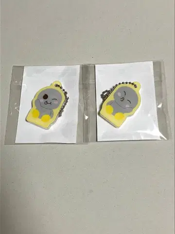 RIIZE 라이즈 은석 마그넷 아크릴 참 아크릴 키링 랜덤 토이