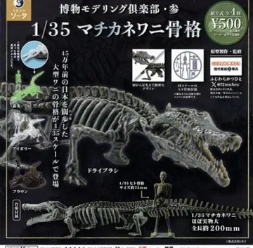 박물 모데링 구락부 3 1/35 마치카네 와니 골격