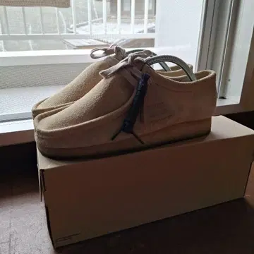 왈라비 메이플 스웨이드 UK 7