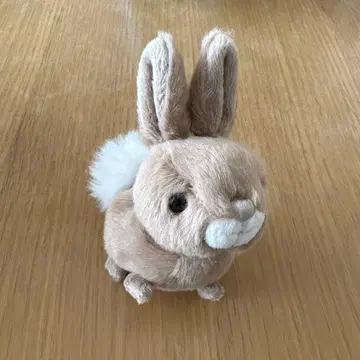 부코우스키 스웨덴 토끼 봉제 인형