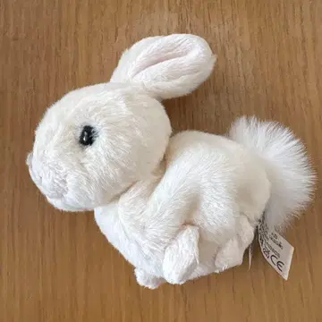 부코우스키 화이트 토끼 봉제 인형