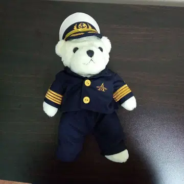 파이롯트 의상의 곰 봉제 인형
