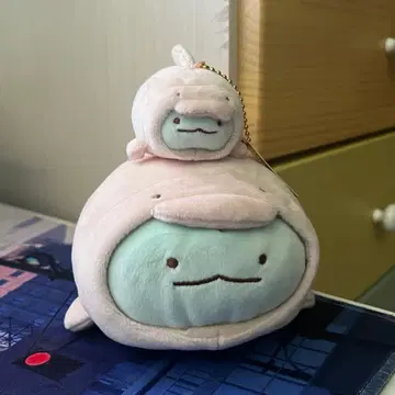 스미코구라시 수족관 돌고래 토카게