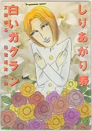 신초샤 시리아가리 코토부키 하얀 가쿠란 1