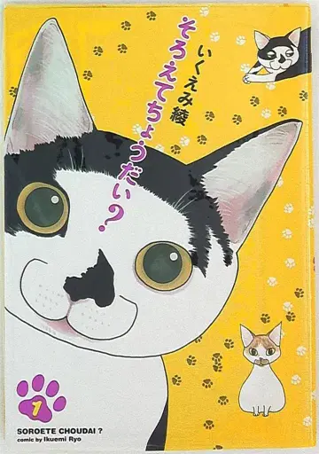 쇼덴샤 필 코믹스 이쿠에미 아야 소로에테 쵸다이? 1