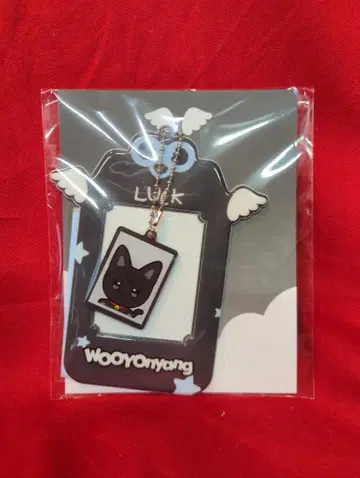 ATEEZ WOOYOUNG PVC 포토카드 홀더