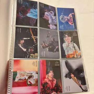 미세스 포토 카드 FJORD