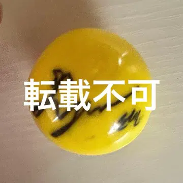 tripleS s14 소현 사인볼 a live25