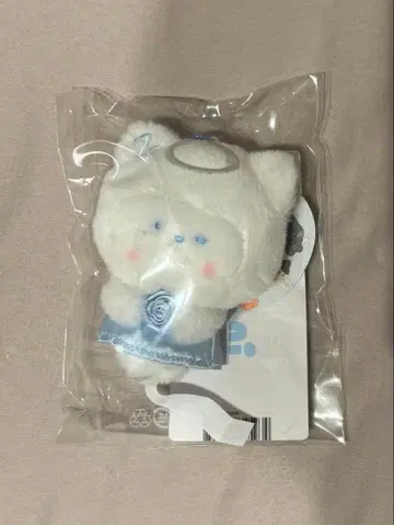 하니니 hanini 제로니 봉제 인형 천사 엔젤 zb1 제베원