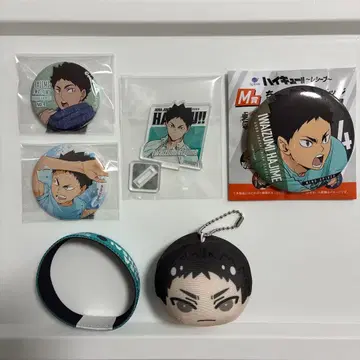 하이큐!! 이와이즈미 하지메 6세트