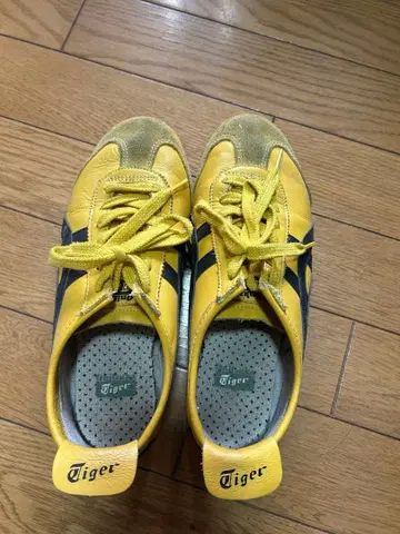 오니츠카타이거