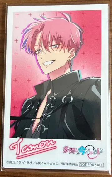 타몬군 지금 어느 쪽 CD 특전 애니메이트 포토 카드 (5장 세트)