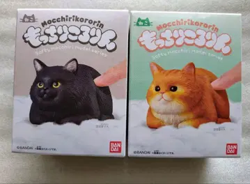 말랑말랑 동글동글 고양이 고양이