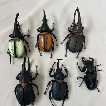 곤충의 숲 곤충 피규어 헤라클레스 장수풍뎅이 새턴오오카부토