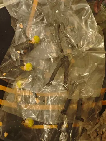 상디 피규어 블랙 수트