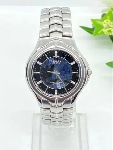 작동 시티즌 엑시드 유로스 12P 다이아 흑요석 실버