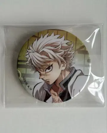 귀멸의 칼날 주합 회의편 시나즈가와 사네미 티저 비주얼 캔뱃지